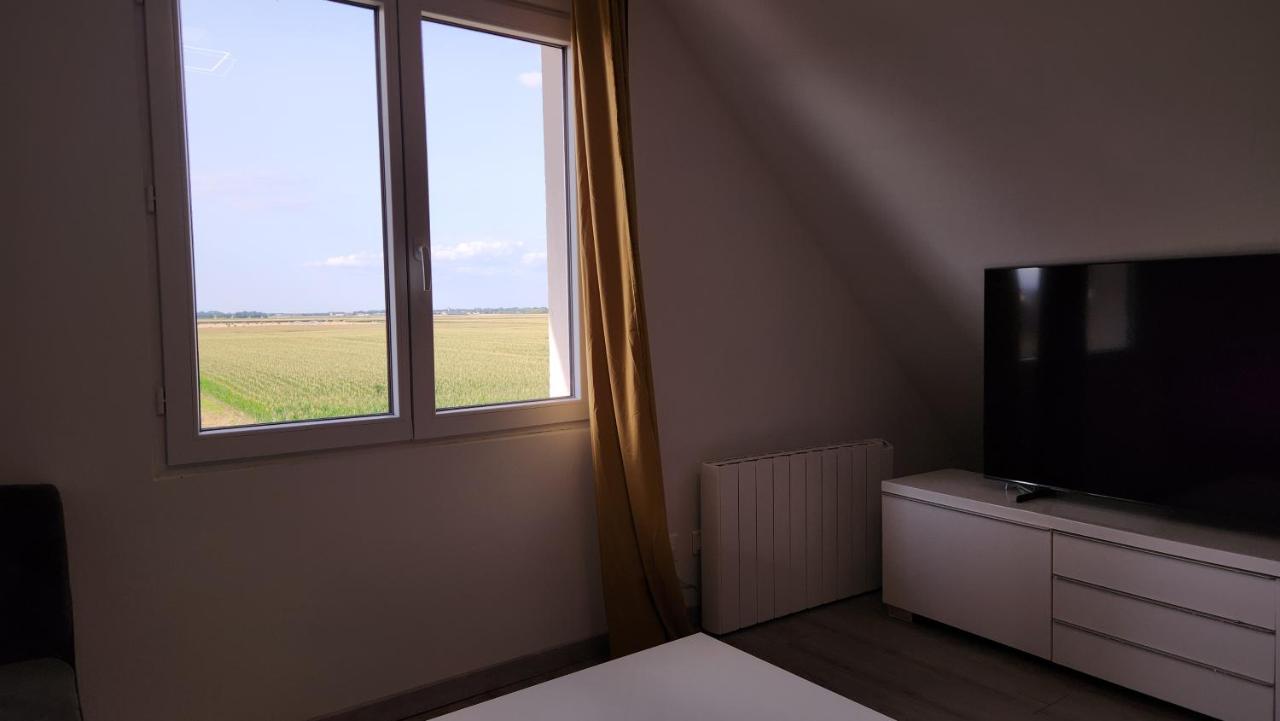 Appartement Vue Panoramique Sur La Plaine D'Alsace Andolsheim エクステリア 写真